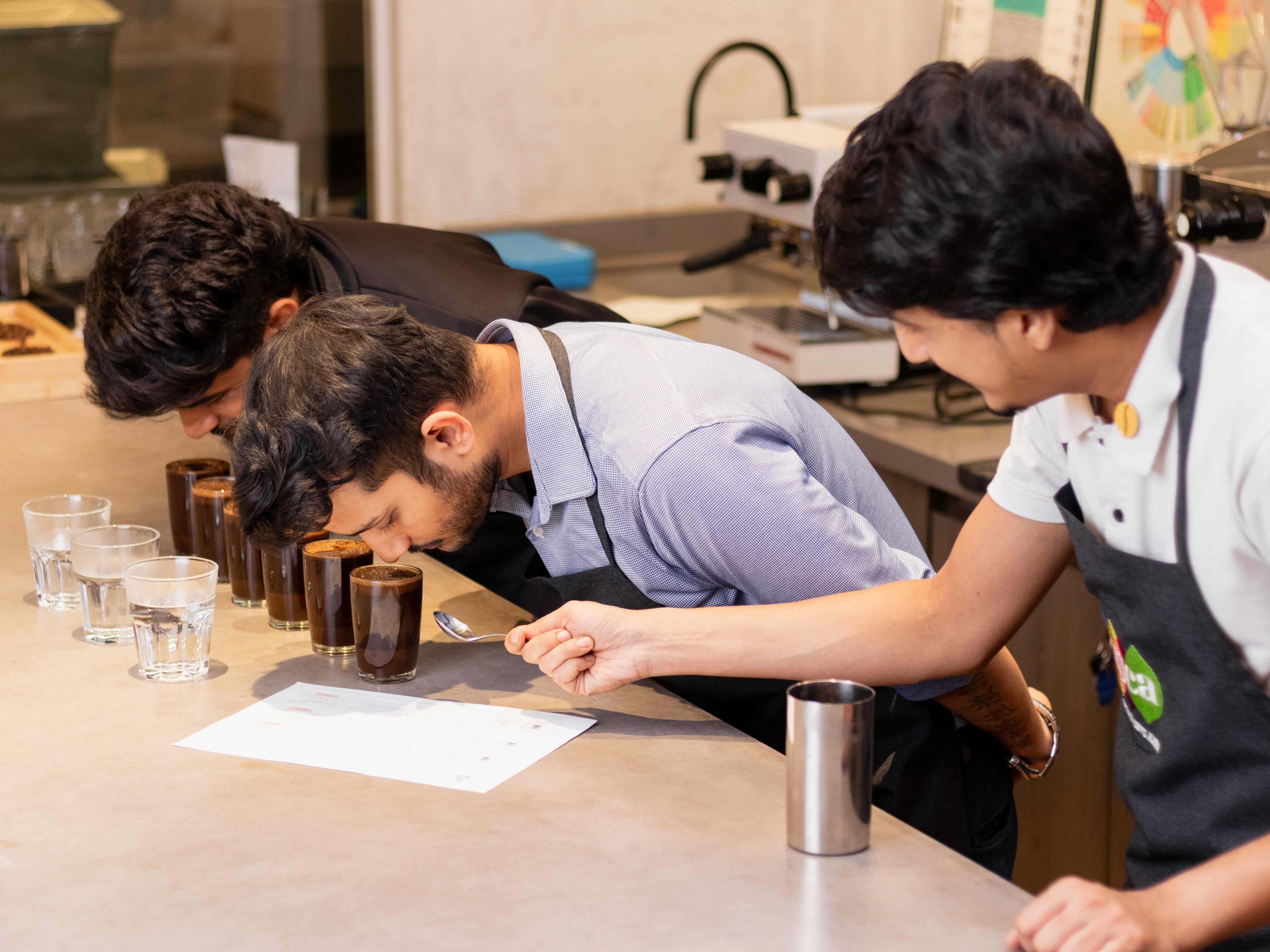 Barista Skills: Professional