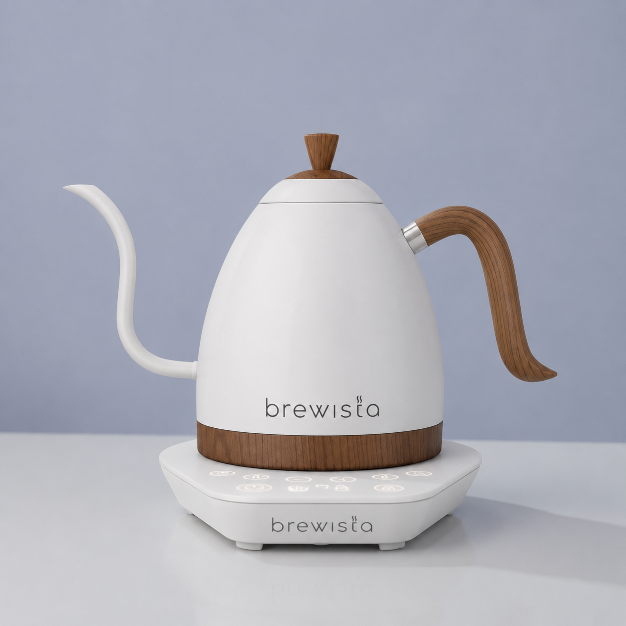 Brewista Gooseneck Kettle